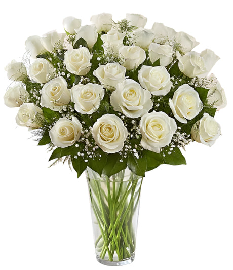 36 Premium White Roses Arranged in a vase with filler