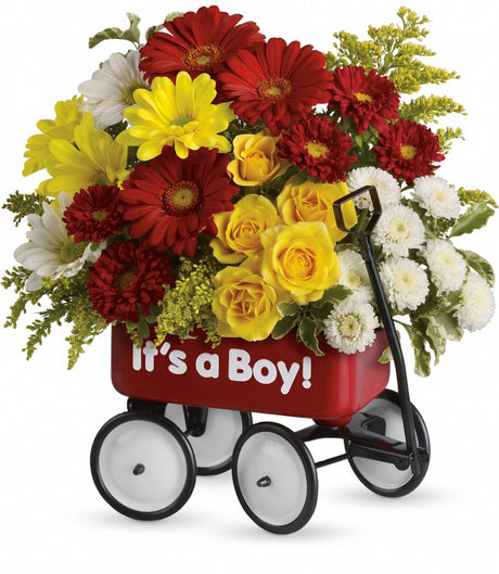 Teleflora's Baby Wow Wagon Boy - Deluxe