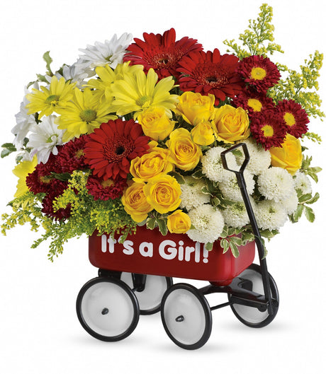 Teleflora's Baby Wow Wagon Girl - Premium