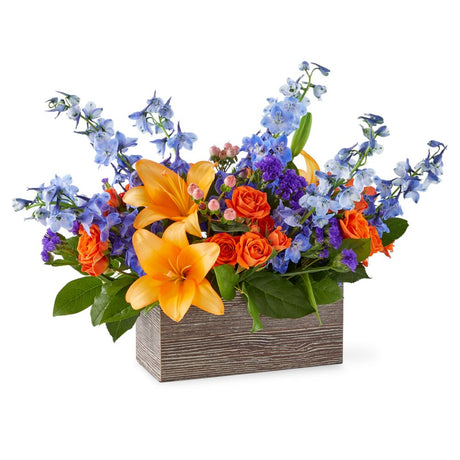 Radiant Citrus box - Exquisite