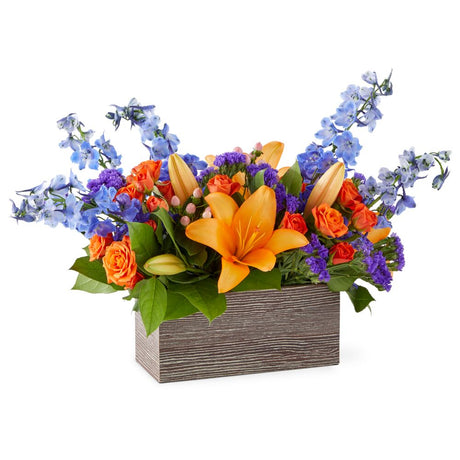 Radiant Citrus Box Premium