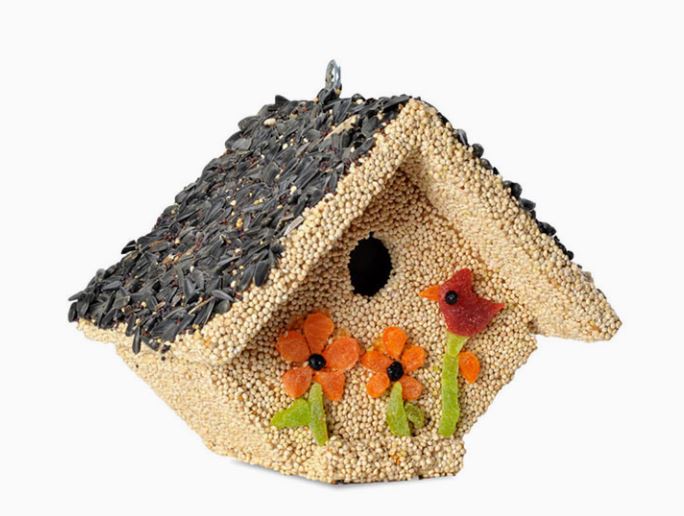 Edible Birdhouse