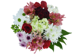 Feel Special Bouquet First Love - Majestic