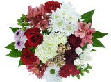 Feel Special Bouquet First Love - Premier