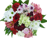 Feel Special Bouquet First Love - Supreme