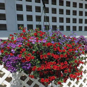 Spring Outdoor Planters