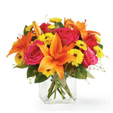Neon Lights Bouquet - Deluxe