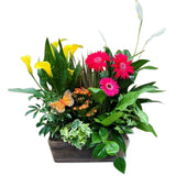 French Garden Planter Exquisite